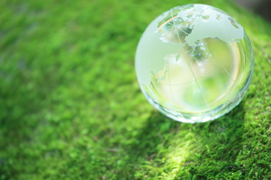 social_contribution_activities_v1